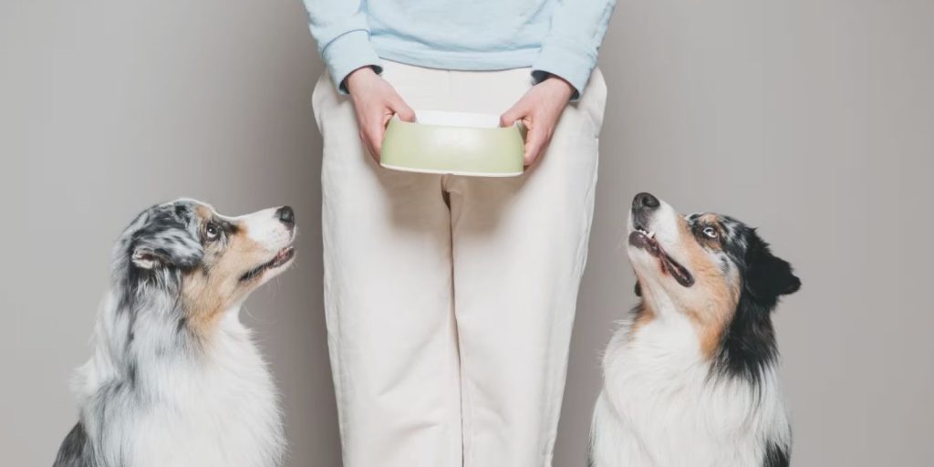 Can dogs eat cherry yogurt?